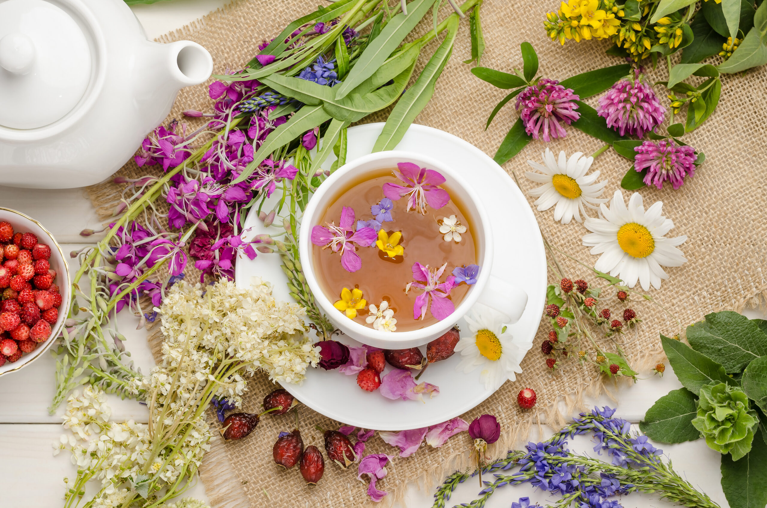 Herbal Teas for Cognition and Energy