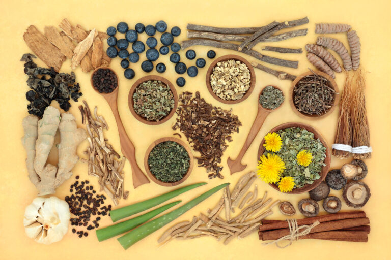 Adaptogen herb & spice health food selection.